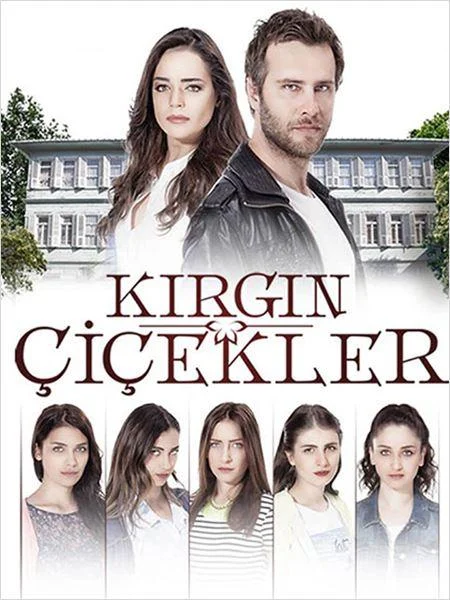 Смотреть турецкий сериал Обиженные цветы (2015) онлайн в хорошем качестве 720-1080 HD, бесплатно на русском языке